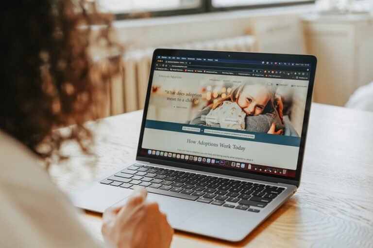 overview of flimyzila com workflow